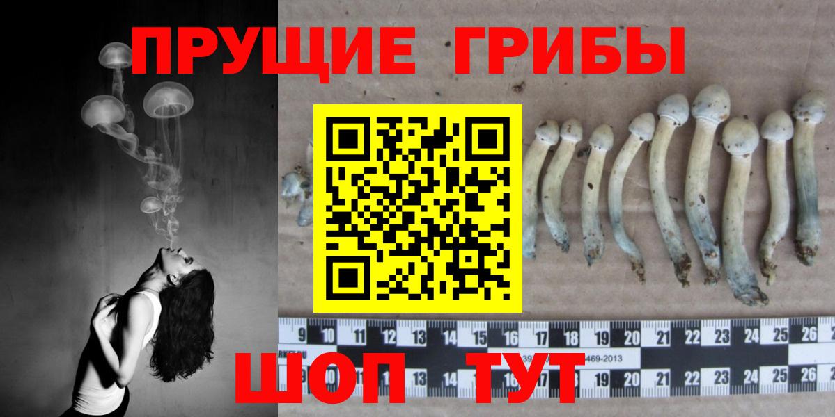 Тельмана  Псилоцибиновые грибы Psilocybe  купить наркотики сайты  Вход с VPN 