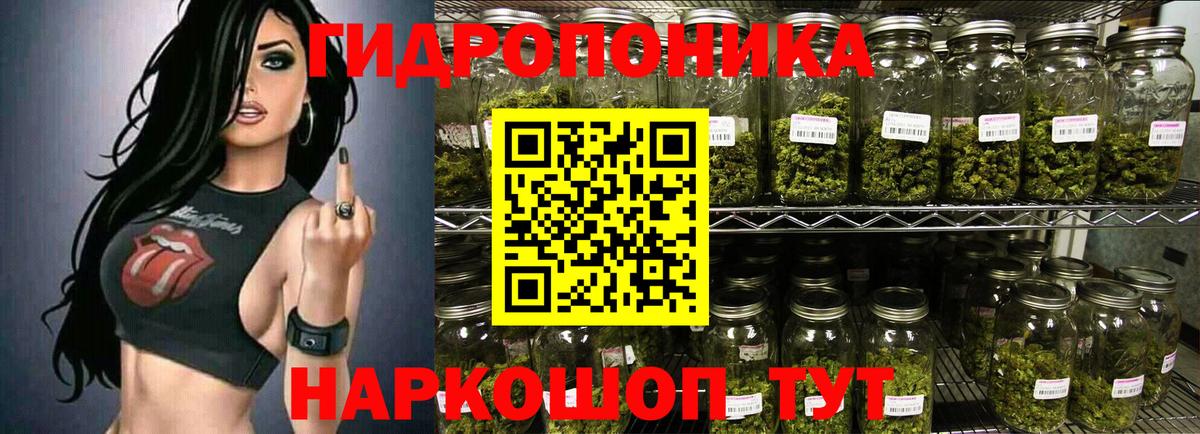 Конопля Bruce Banner Тельмана
